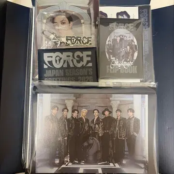 straykids 2026 FORCE 시즌 그리팅 새상품 skzoo