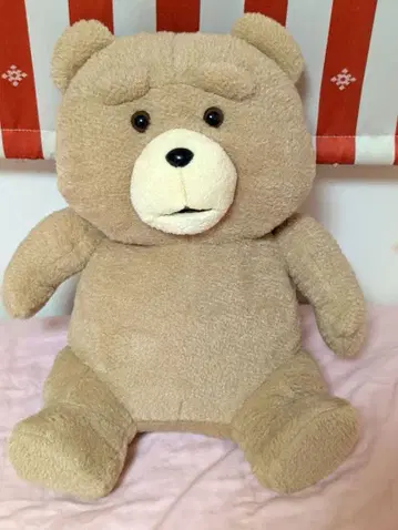 [ ted ] 봉제 인형