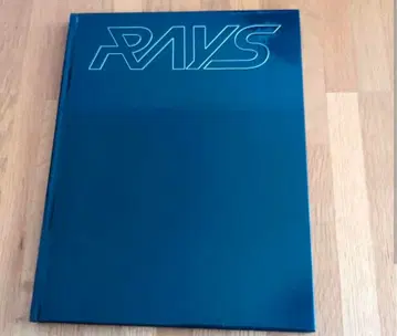 RAYS 팜플렛 네이비