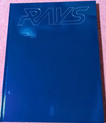 RAYS 팜플렛 네이비