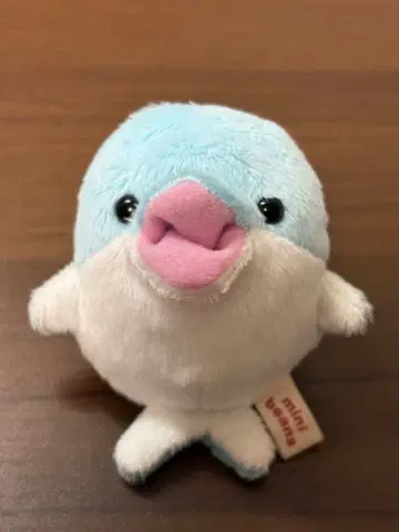 미니콩 돌고래 봉제 인형 4