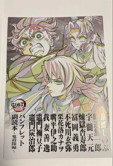 극장판 귀멸의 칼날 무한성편 제1장 아카자 재래 팜플렛 부독본 귀살대편