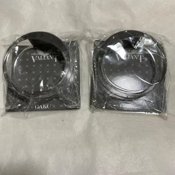 아이나나 야오토메 가쿠 뱅글 라이트