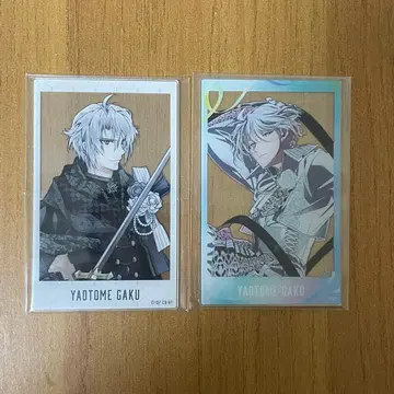 아이나나 10th Anniversary 아크릴 포토 카드 라쿠