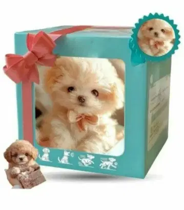 강아지 완구 봉제 인형