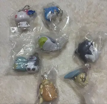 고베 스마 시월드 가챠 스미코구라시 한정판 우사마루 수족관 범고래