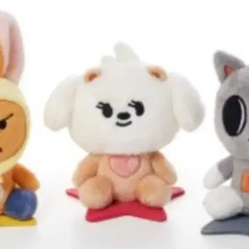 범규 앉아 키링 뿔바투 범규