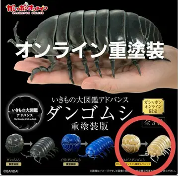 중도장판 온라인판 생물대도감 어드밴스 알비노 공벌레