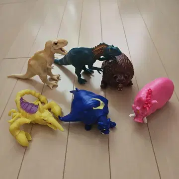 26일 세일 스트렛치즈 와일드 주탄트 앤드 코 6체 세트