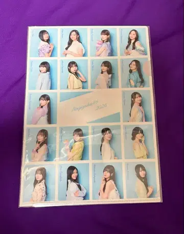 노기자카46 전 멤버 게재 A4 클리어 파일 새상품