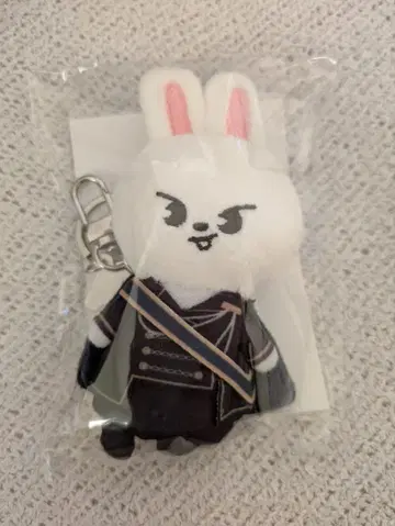 Stray Kids 포스 리빗