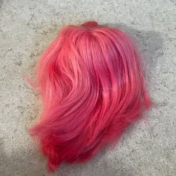 심플리 구아바 두피 브라이스