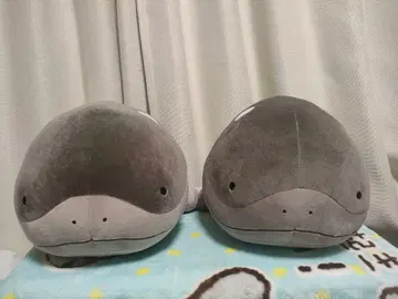 포켓몬스터 메챠모후굿토 봉제 인형 ~도오~