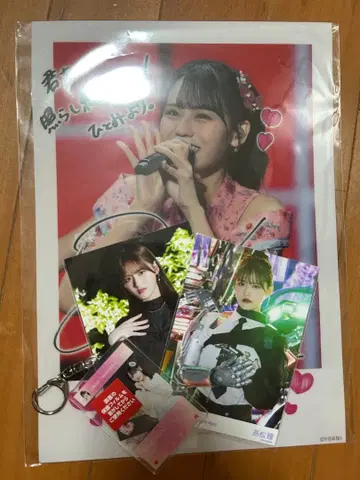 타카마츠 히토미 사진 세트 아크릴 참 클리어 파일 세트