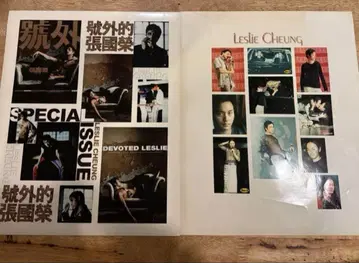 레슬리 찬의 빅 사이즈 사진 시트