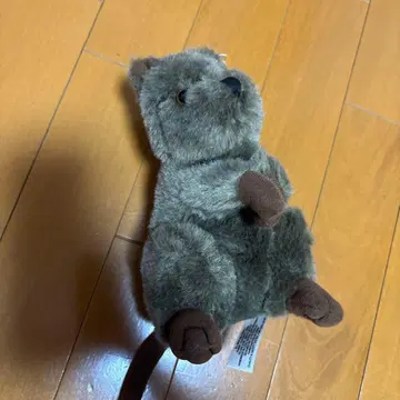 왈라비 봉제 인형 약 25cm 브라운