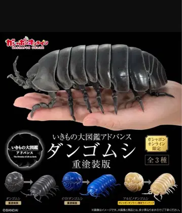 온라인 생물대도감 공벌레 (중도장판) 전 3종 컴프 세트