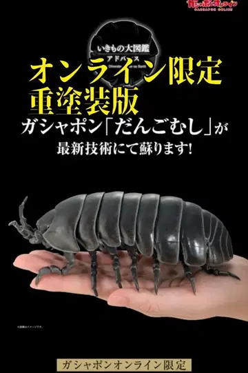 공벌레 중도색판 온라인판 생물대도감 어드밴스 블랙