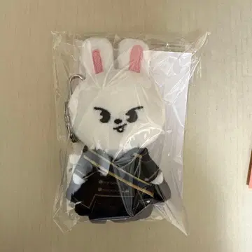 StrayKids FORCE 시그 leebit 퍼펫 키홀더