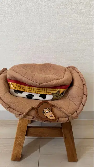 우디의 모자 디자인 쿠션