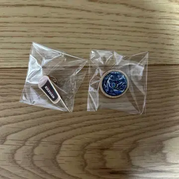 미개봉 새상품 생명의 순환 모험 멸종 위기 브라운 핀 배지 초시공 극장