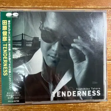 타하라 토시히코/텐더니스