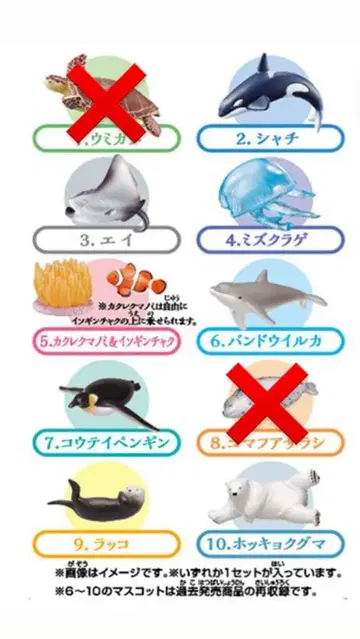 빗쿠라타마고 plus 목욕탕 수족관 바다의 인기 상품