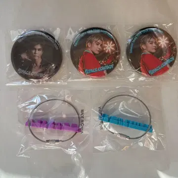 이와타 타카노리 SPACE COWBOY 회장 캡슐