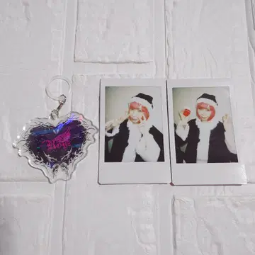 Royz 코다이 크리스마스 폴라로이드 참