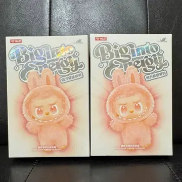 정품 미개봉 라브브 에너지 2개 세트 Big into Energy