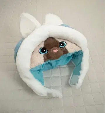 USJ 몬헌 아이루 모자