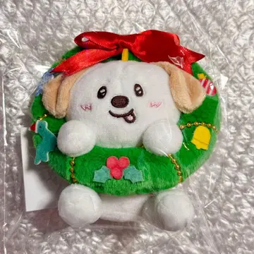 RIIZE 109 마스코트 키링 앤톤 트레이딩 카드 봉제 인형