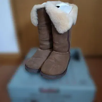 브라운 스웨이드 어그 부츠