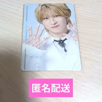 캐터리아 muw maze 특전 트레이딩 카드 아메리칸 쇼트헤어