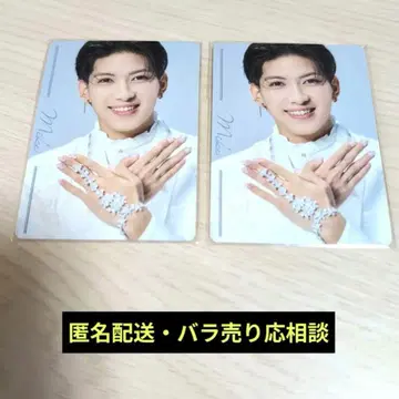 캐터리아 muw maze 특전 트레이딩 카드 미케