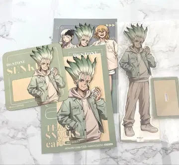 Dr.STONE 믹스 가든 이시가미 센쿠 아크릴 스탠드