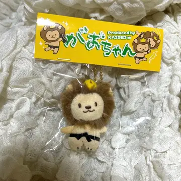 타케치 카이세이 멘프로 가오쨩