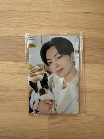 ENHYPEN 설문 트레이딩 카드 2025 제이