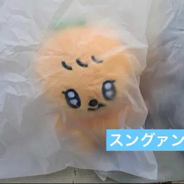 SEVENTEEN MINITEEN 푸규리 봉제 인형 플러시 토이