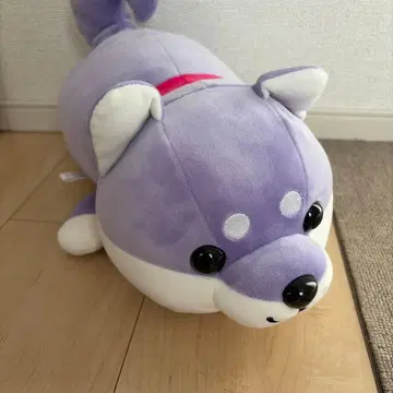 아시카가 플라워 파크 한정판 해피 마메시바 시바견 봉제 인형 등나무색