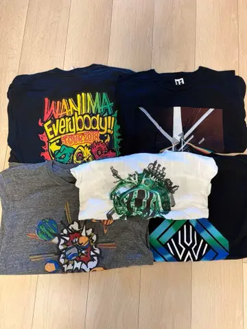 캐주얼 T셔츠 세트 6개