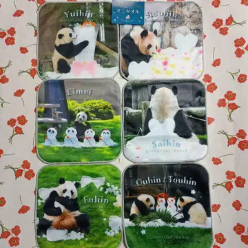 어드벤처 월드 선행 가챠 팬더 미니 타월 6종 컴플리트