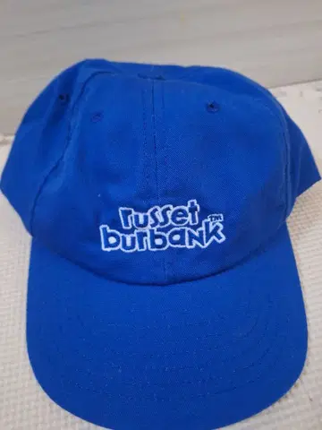Russet Burbank Dad Cap 파랑