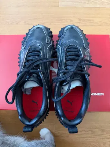 GADID ANONIEM X PUMA 24cm