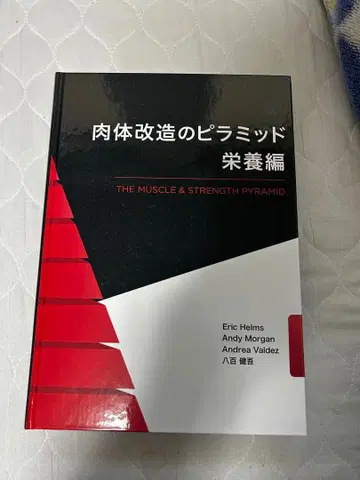 신체 개조의 피라미드 영양편