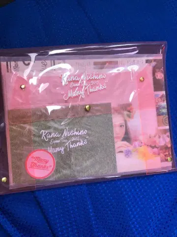 니시노 카나 2017 사진집