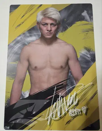 RIZIN 스즈키 치히로 플라보드 컬렉션