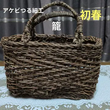 아케비 덩굴 세공 초봄 외출용 백