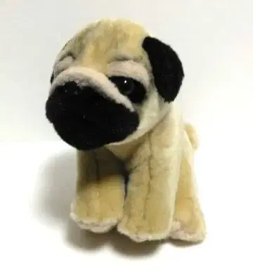 리얼 도그 컬렉션 봉제 인형 퍼그 REGALO 레가로 개 동물