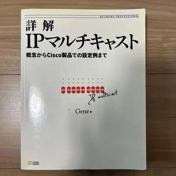 상세 해설 IP 멀티캐스트